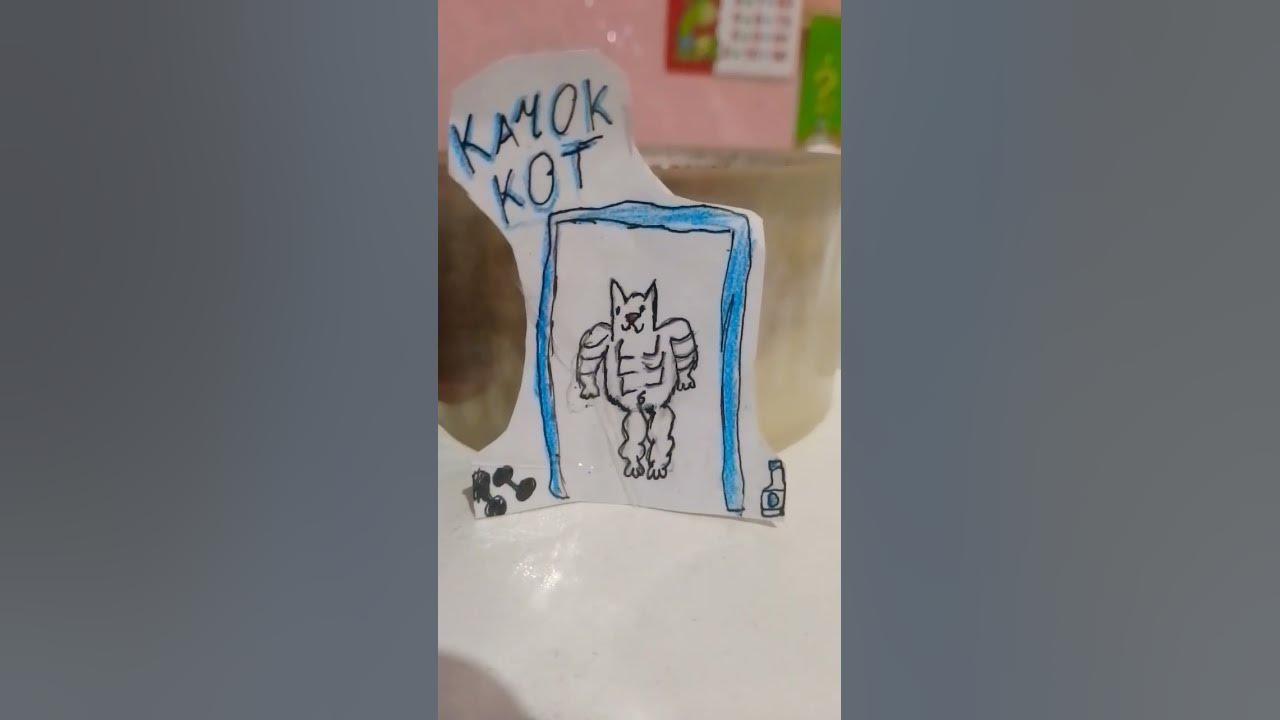 Кот -качок - YouTube