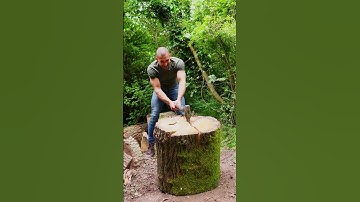 Satisfying BIG wet oak split, log splitter