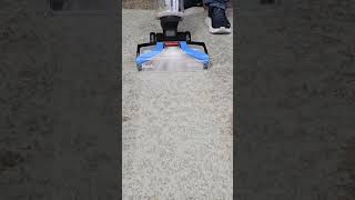Shark CarpetXpert Carpet Shampooer EX121BRN  Wow Automatic