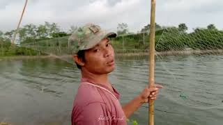 KESERUAN NGANCOK/MENANGKAP IKAN DI BENDUNGAN PANDAN DURE