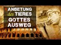 Anbetung des Tieres erklärt & Gottes Ausweg