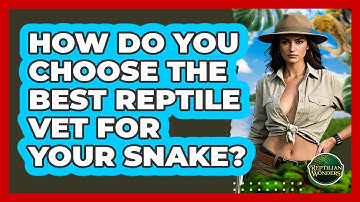 How Do You Choose The Best Reptile Vet For Your Snake? - Reptilian Wonders