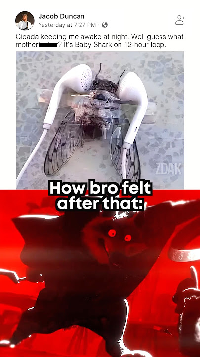 Bro showed no mercy ☠️