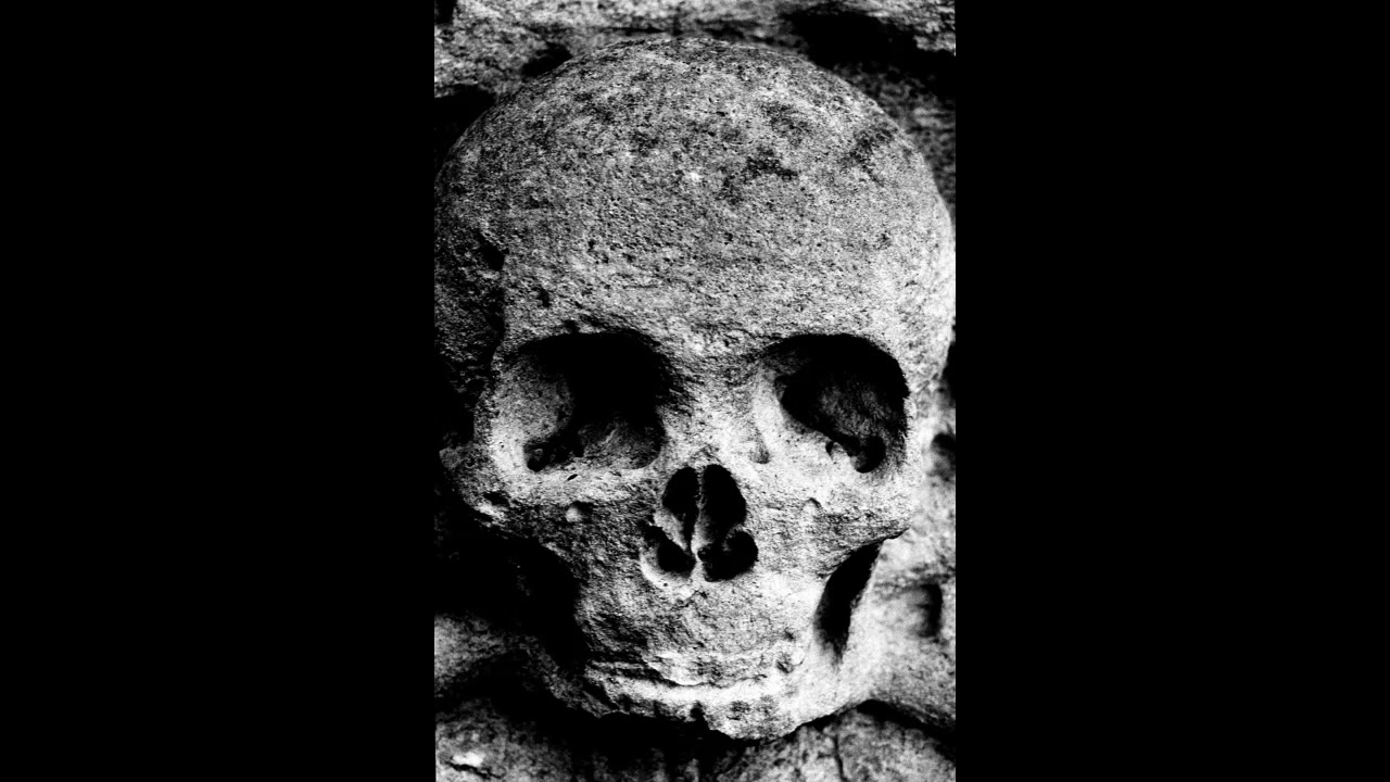 De Vermis Mysteriis - Vergoberet