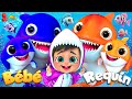 Bébé Requin et Ses Amis - Chansons pour bébés - Comptines @MiloCartoonLEFrançais