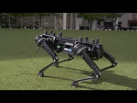 ghost robotics dog video