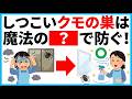 【衝撃】そのクモの巣掃除は逆効果!〇〇するだけで二度と現れない理由