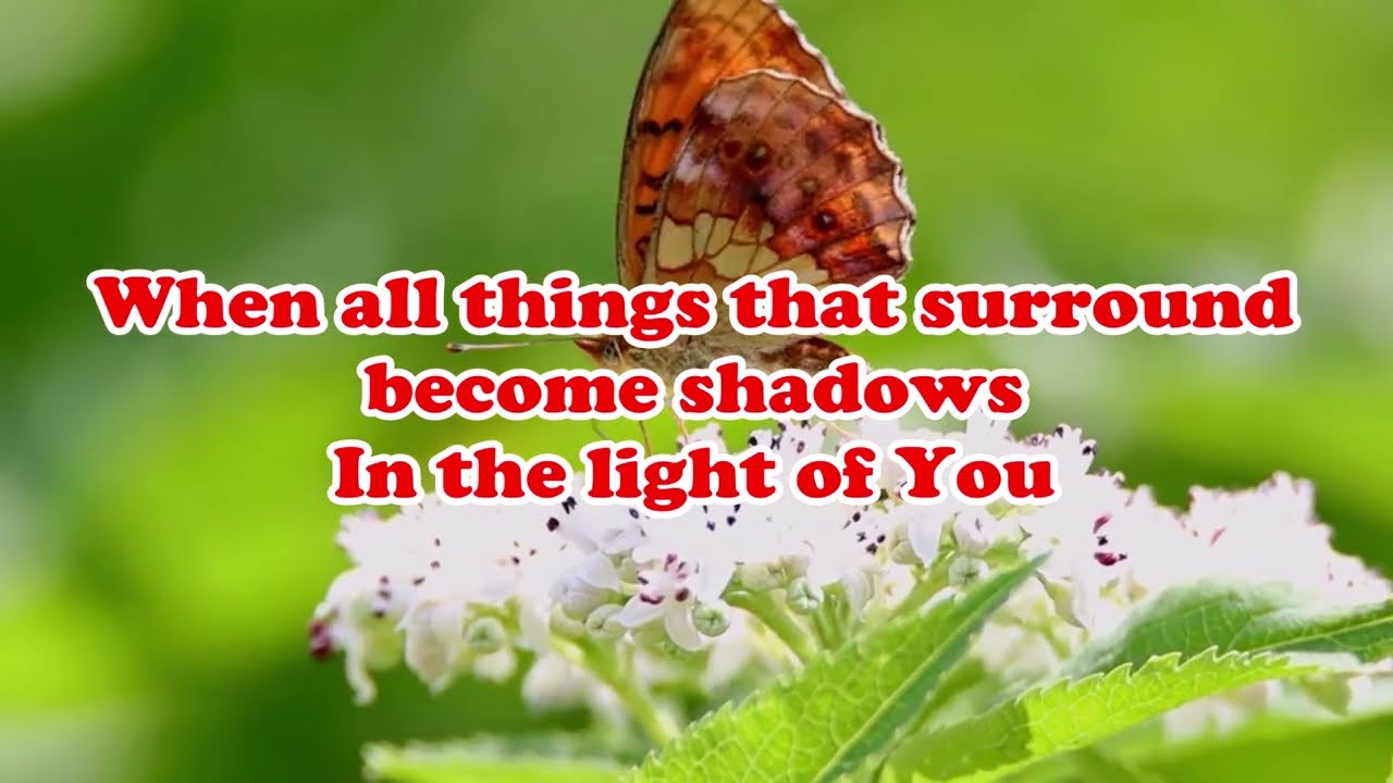 THE REASON I LIVE IS TO WORSHIP YOU With Lyrics YouTube The reason i live is to worship you with lyrics youtube