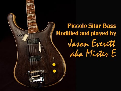 rickenbacker-piccolo-sitar-bass-modified-and-played-by-jason-everett-aka-mister-e