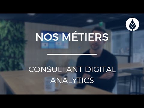 Our Professions: Digital Analytics Consultant (Full Version)