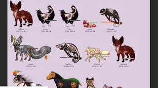 [Chicken Smoothie] How To View The Pounds Pets!