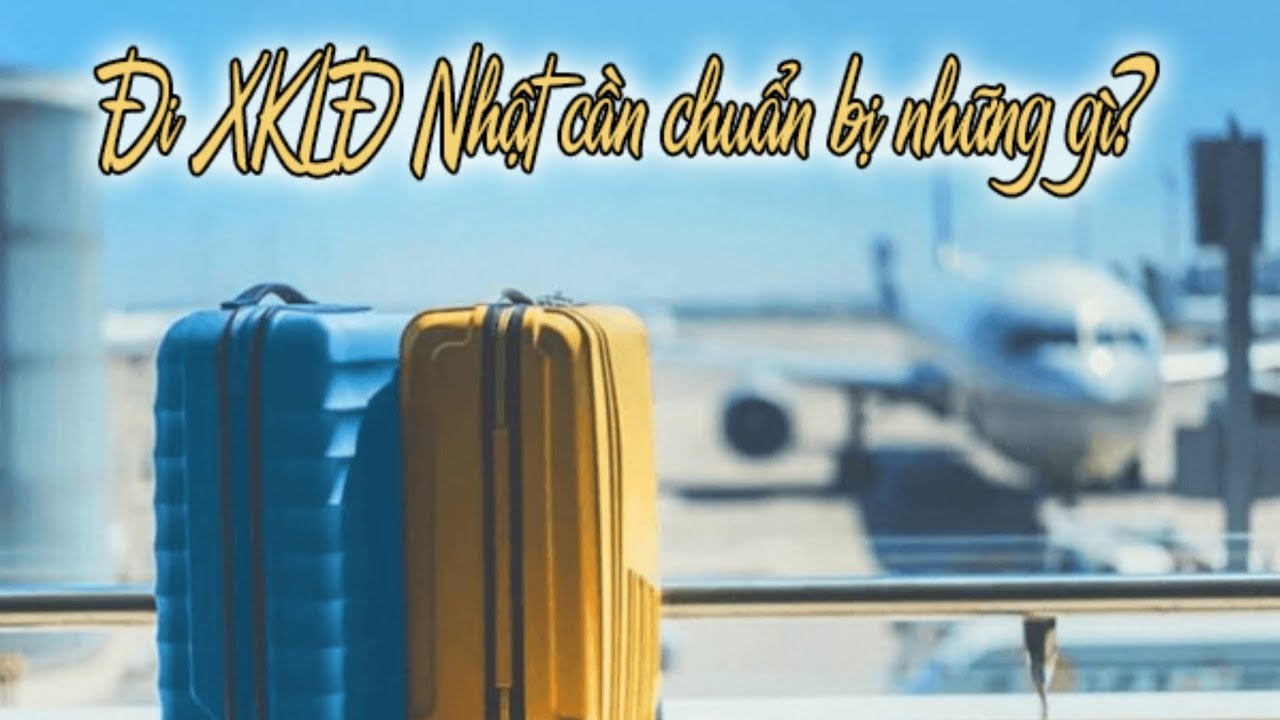 Bảng Xếp Hạng 8+ Công Ty Xuất Khẩu Lao Động Uy Tín Hàng Đầu Tại Gia Lai: Tiêu Chí Đánh Giá