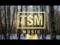 Warm Light’s Embrace　　　TSM music | lo-fi chill | calm |Work Music | Focus |No Copyright Music