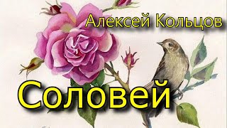 Стихотворение "Соловей", Алексей Кольцов