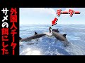 悪質なチーターをサメのエサにしたりマップの端に飛ばして2000m泳がせてみた【RUST 実況】