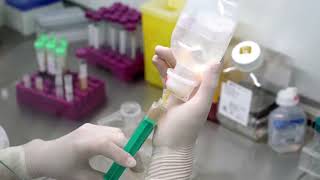 High Dose Potency: BHI