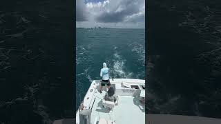 #miami #рыбалка #ocean