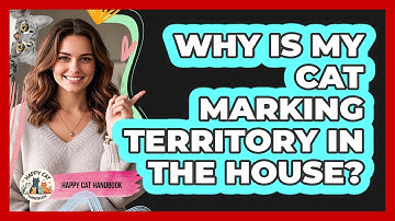 Why Is My Cat Marking Territory In The House? - Happy Cat Handbook