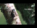 夏休み(幸福の条件)