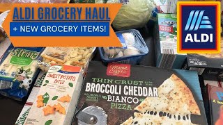 🛒🛒ALDI Grocery Haul | December 2020 | NEW Grocery Items! 🛒🛒