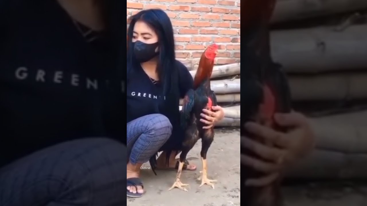 I like you so much | Oldline Breed