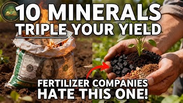 How 10 Hidden Minerals Can Triple Your Harvest (That Fertilizer Companies Buried)