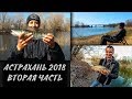 Рыбалка в Астрахани 2018. Часть II. Судак, бель, сазан