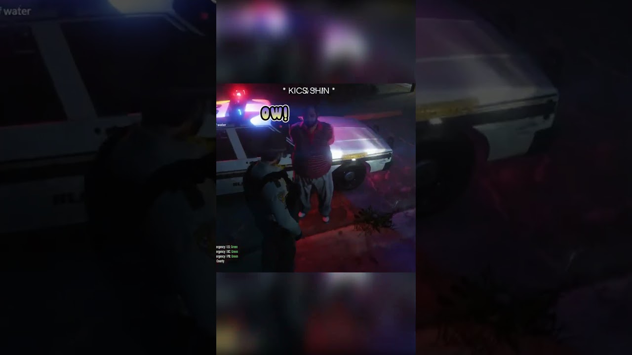 Traffic Stop Was Not Keep Professional. | PGN Funny Community Clips 4