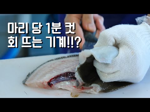우럭 <strong>광어</strong> 40kg <strong>회</strong> <strong>뜨기</strong> 속도. 기계여? 사람이여?