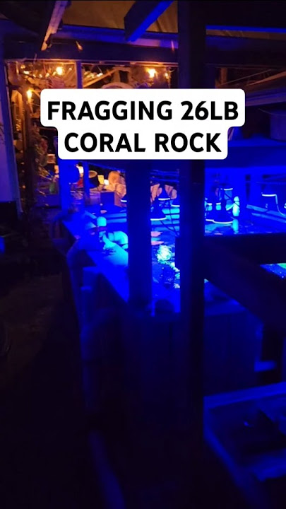 Thought I Couldn't Frag This Coral