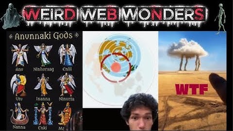 weird web wonders vol 55