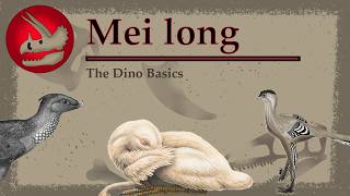 Mei long | The Sleeping Chinese Dragon | Dino Basics