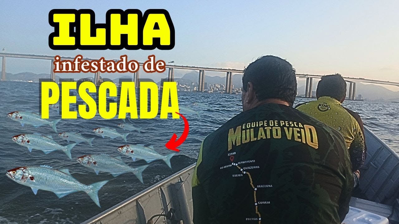 PESCA RAIZ MUITAS PESCADA.