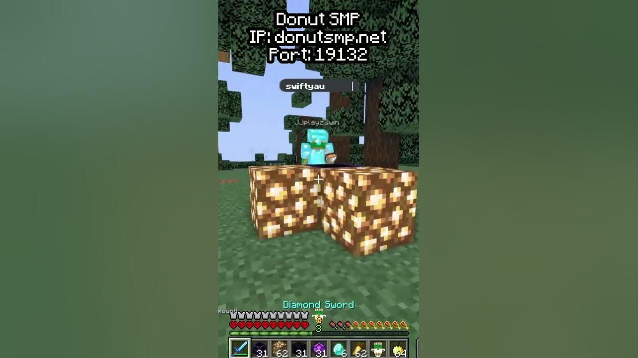 Play DonutSMP Today With The IP minecraft minecraftsmp 