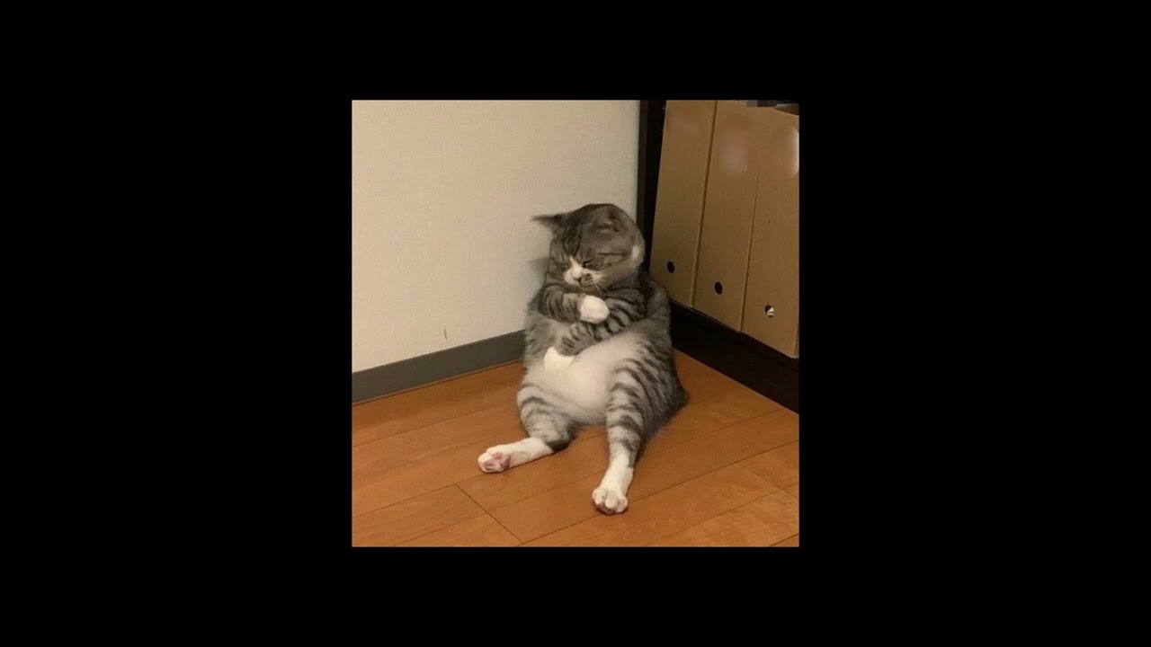 Moves Like Jagger (sped up)