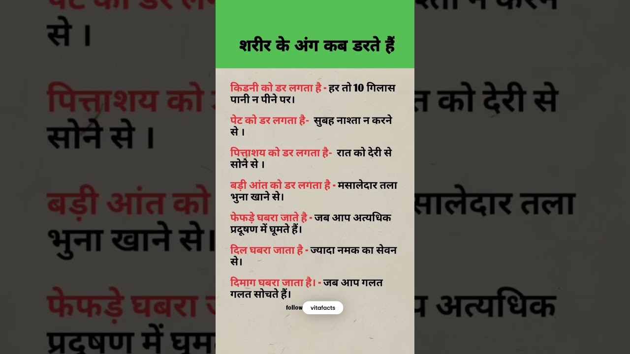 🥇 What Damages Your Body Organs the Most ⭐ 