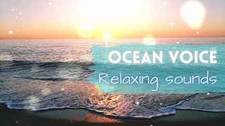 Oceanic Harmony: Soothing Waves for Ultimate Relaxation