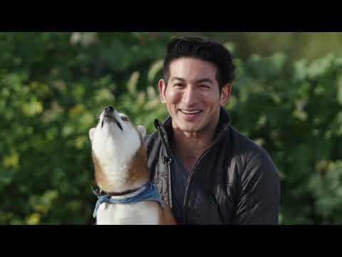 Facebook More Together - Dogs Interview Part 1 - Facebook More Together - Dogs Interview Part 1