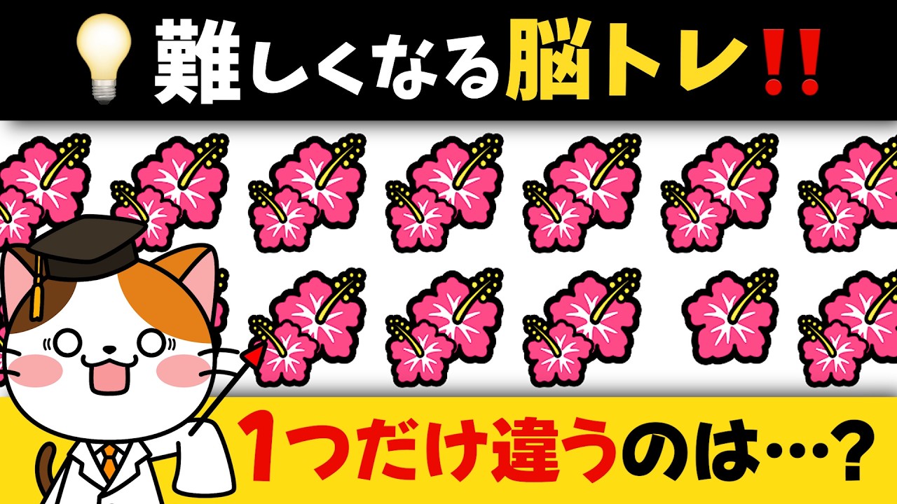 【わかったら若い！】何が違う？脳トレで集中力・注意力を楽しくアップ