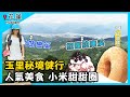 【GoGoTaiwan】花蓮 玉里秘境健行 人氣美食小米甜甜圈 Ep414