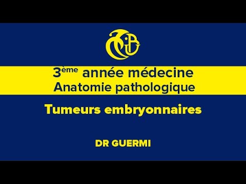 Vidéo: Une Analyse Comparative Du Méthylome Identifie De Nouveaux Sous-types De Tumeurs Et De Nouveaux Biomarqueurs Pour La Transformation Des Restes Néphrogéniques En Tumeur De Wilms