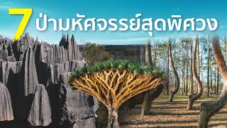 7 ป่ามหัศจรรย์สุดพิศวง