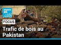 Pakistan  les autorits impuissantes face aux trafiquants de bois  france 24