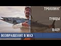 Яркое завершение рыболовного сафари. Поймали акулу. Остров президента