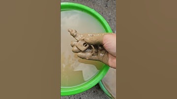 Car Key in Dirty Water Turns into a House Key #viralvideo #funny #toyhouse