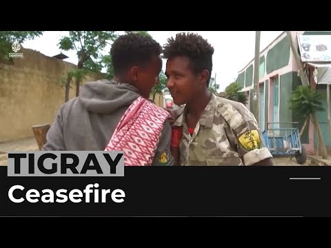 Ethiopia conflict: forces in tigray region offer ceasefire