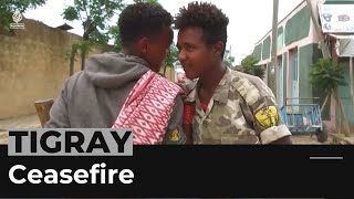 Ethiopia conflict: Forces in Tigray region offer ceasefire