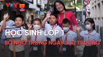 Học sinh lớp 1 ở Hà Nội bỡ ngỡ trong ngày tựu trường