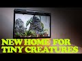 Turning Mini Greenhouse Into A Terrarium (Took Me Two Years! Kind Of...)