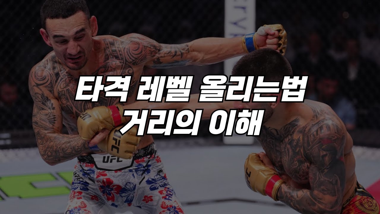 격투기 타격 레벨 올리는 법 - 거리의 이해